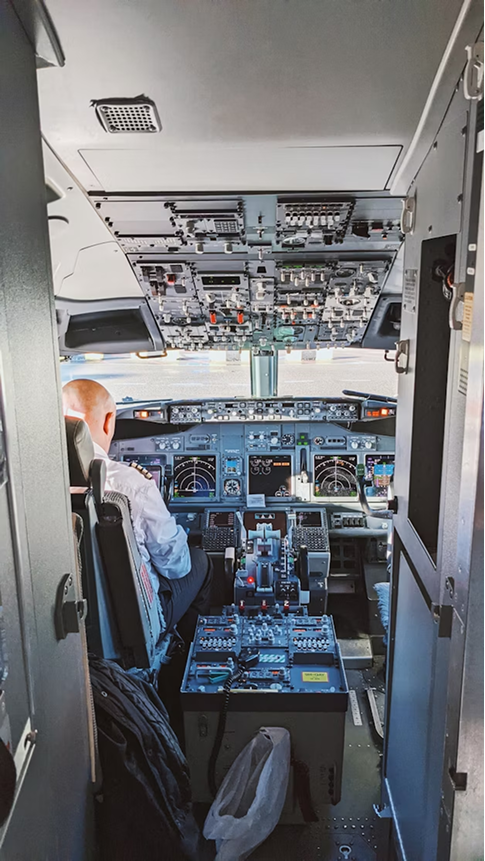 Cockpit view with the Pilot